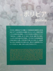 Japanese emigration to Boliva